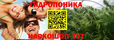 дурь Гусев