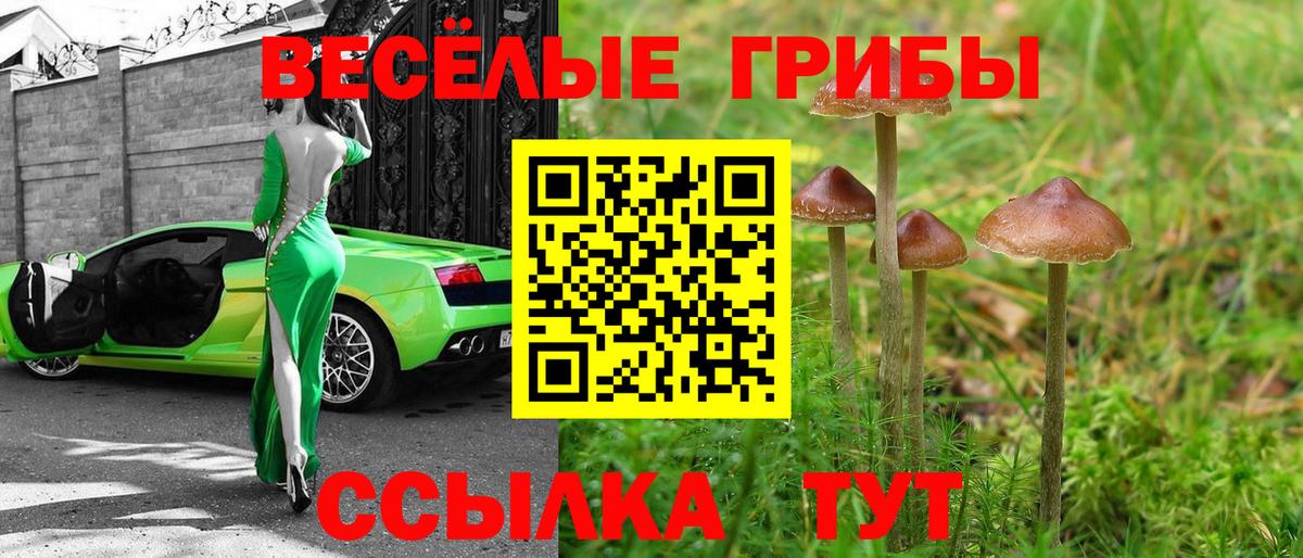 Псилоцибиновые грибы GOLDEN TEACHER Новоуральск