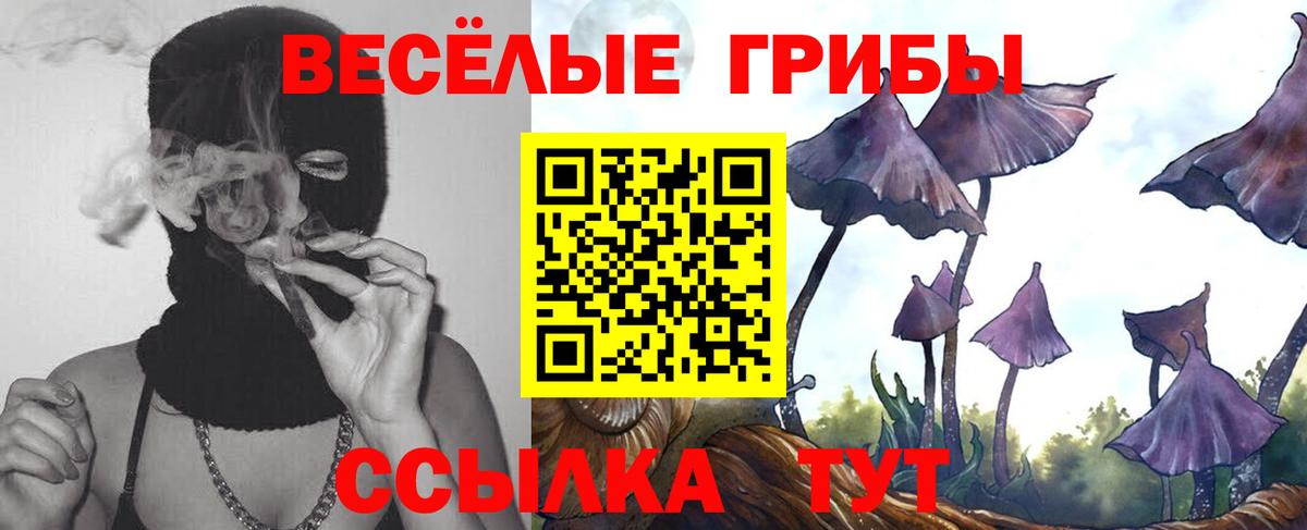 как найти наркотики  Вход с VPN  Галлюциногенные грибы MAGIC MUSHROOMS  Новоуральск  Псилоцибиновые грибы Psilocybe 
