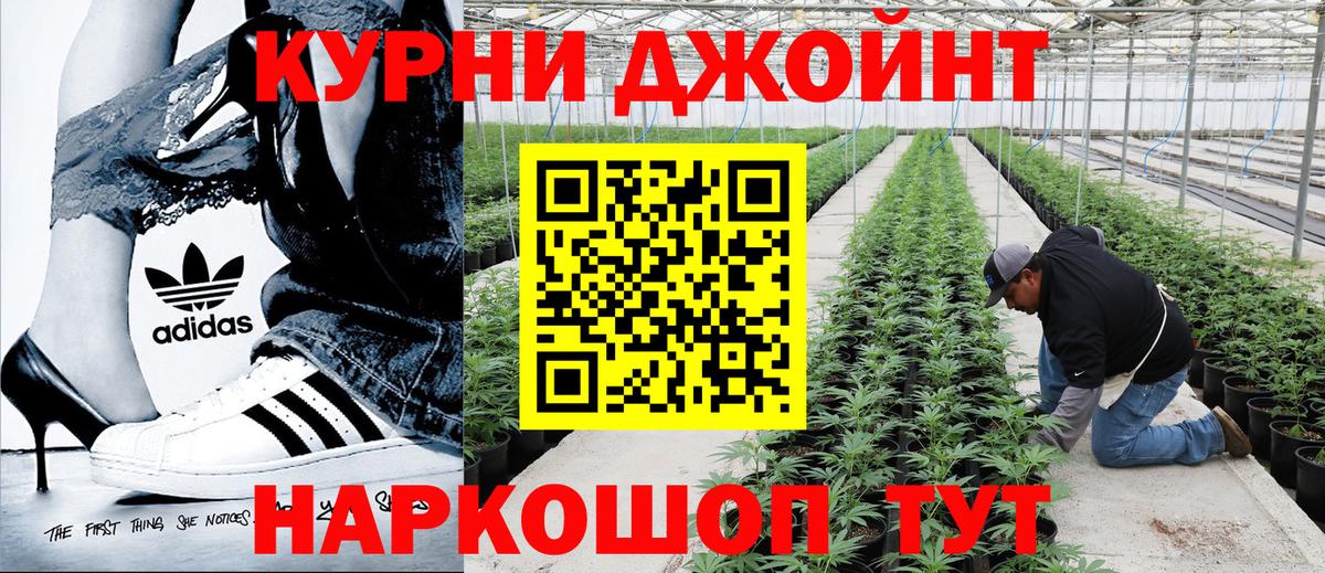 Шишки марихуана Amnesia Новоуральск